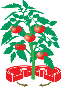 Tomato Crater assembly